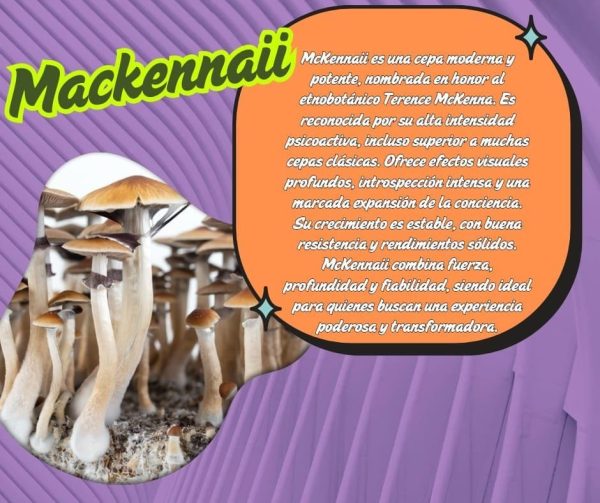 Pack de recarga P3 Pro Fungi - Imagen 3