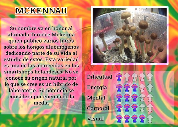 mackenaii esporas pack de recarga cultivo de hongos p2