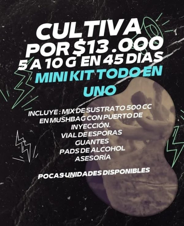 Mini kit todo en uno - Imagen 2