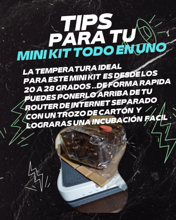 Mini kit todo en uno - Imagen 3