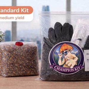 KIT TODO EN UNO K26 STANDARD